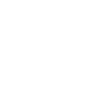 Fayn logo
